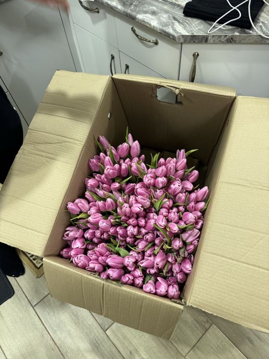 Корпоративные тюльпаны