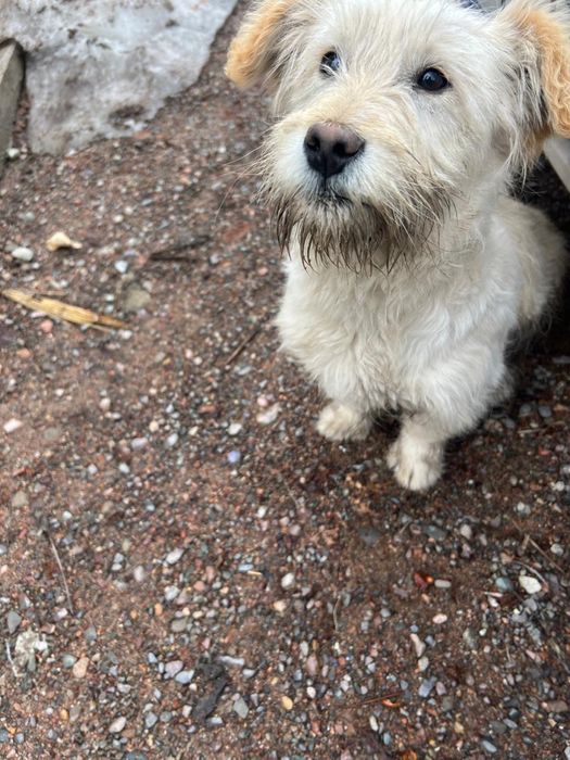 Ищем домик малышу