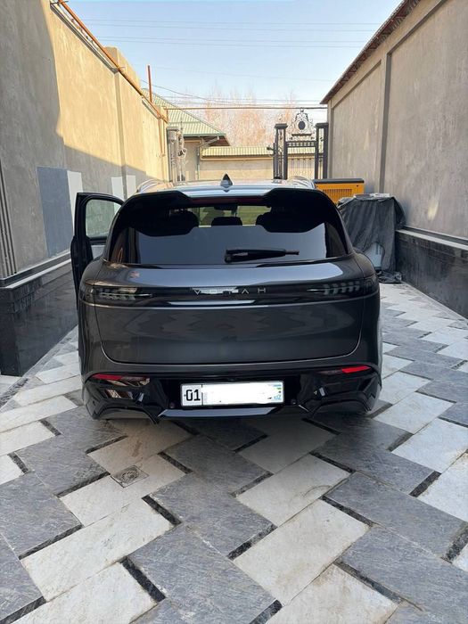 Voyah free apolo tech 318