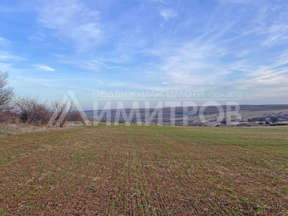 Продава парцел 5 дка в регулация между селата Мировци и Писарево.