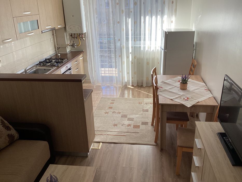 Apartament cu o cameră, Turnisor, Frunzei