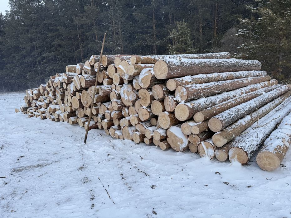 Доска агаш тактай