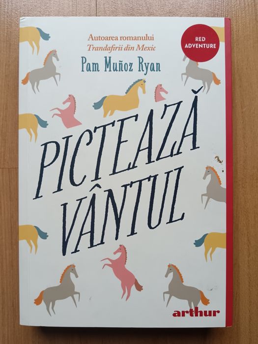 "Pictează vantul" de Pam Munos Ryan