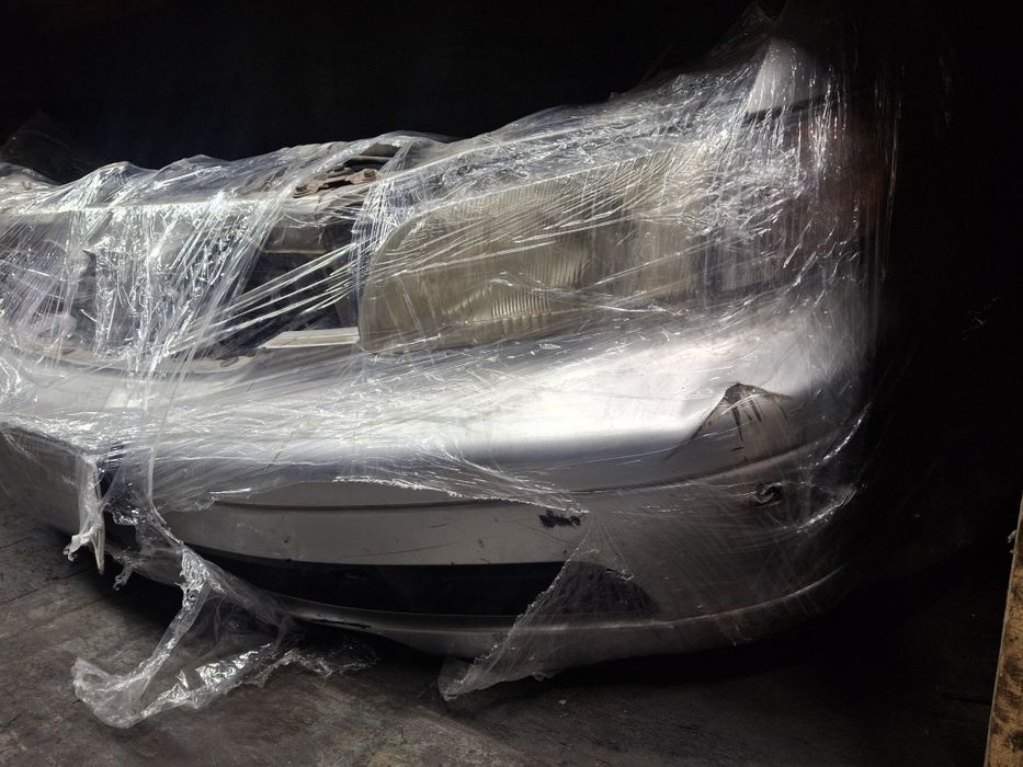 Морда одисей носкат