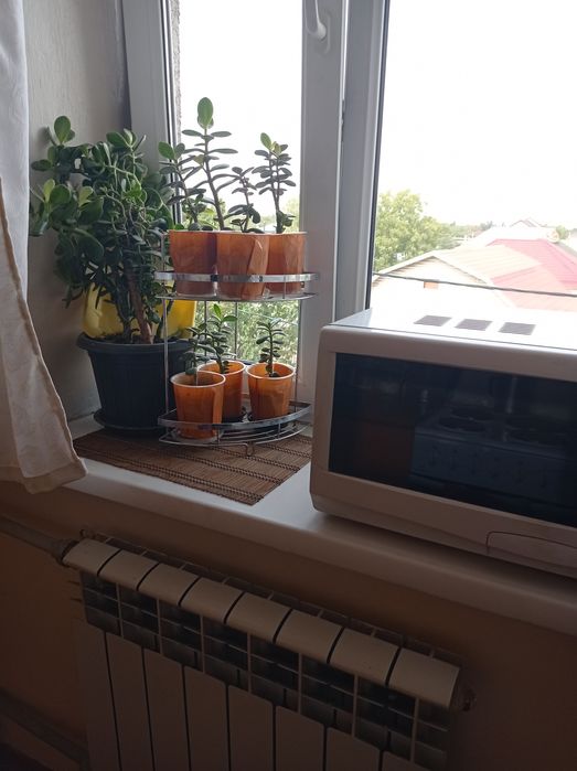 Однокомнатная квартира