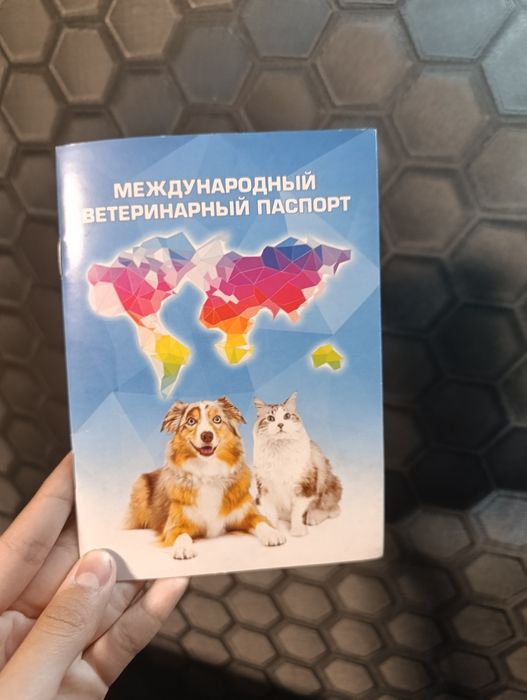 Продаю Дратхаара. Срочна