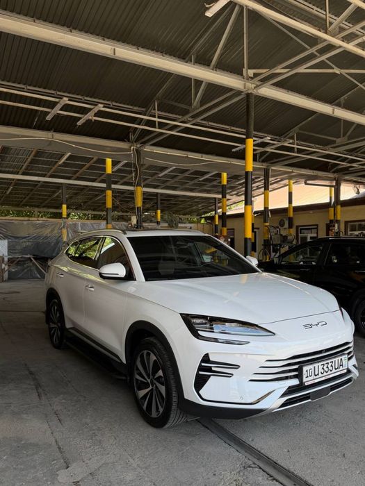 Byd chempion Gibrit 150 tali