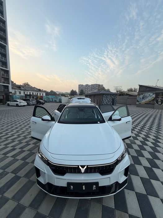 Voyah free Apollo tech 318