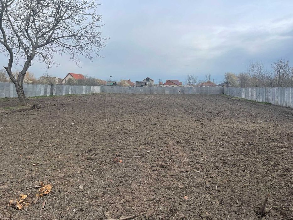 Arenda gradina Izvin (18 km de Timisoara)