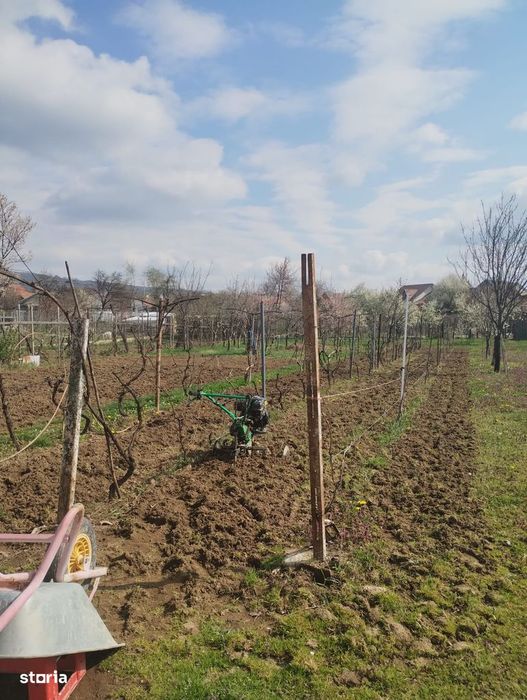 De vanzare casa Oituz-Bacau