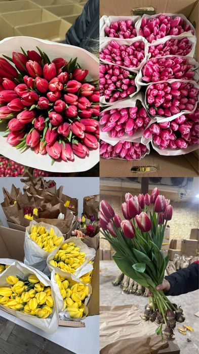 Распродажа тюльпанов