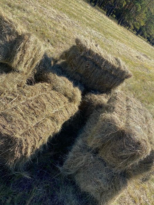 Пролам сено в кводратнфз тюках