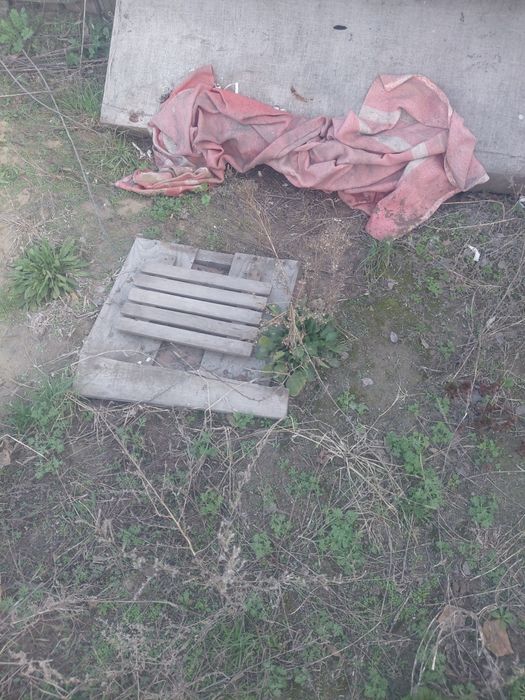 Продам дачу садоводство "берёзовая олея"