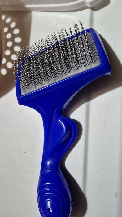 Зоотовар для милых котят