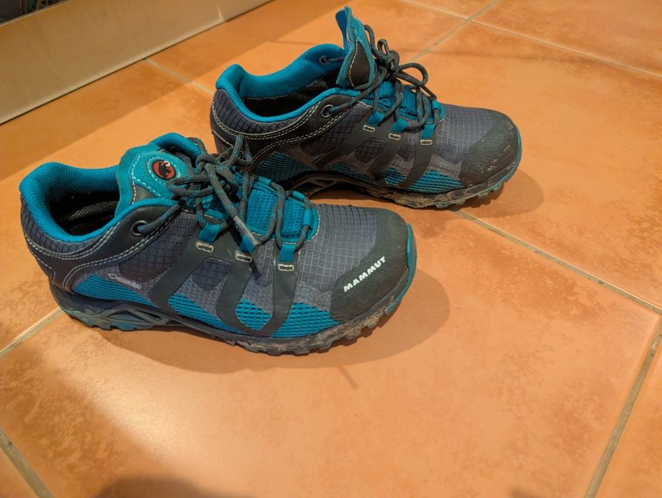 Mammut Comfort Low GTX Gore-Tex Hiking Shoes