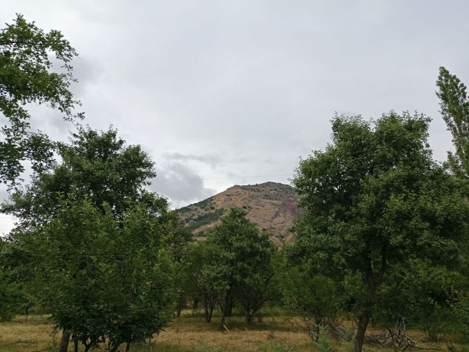 Дача в Бричмулле
