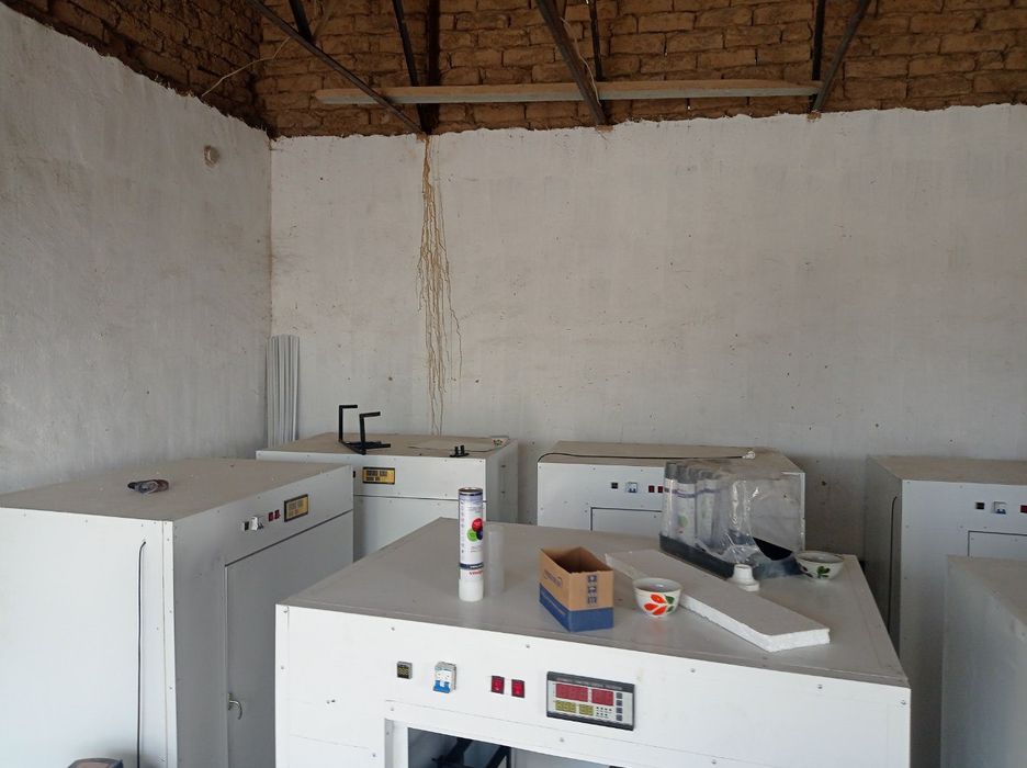 Inkubator sotiladi 264 talikdan 1056 talikgacha tayorlab beramiz