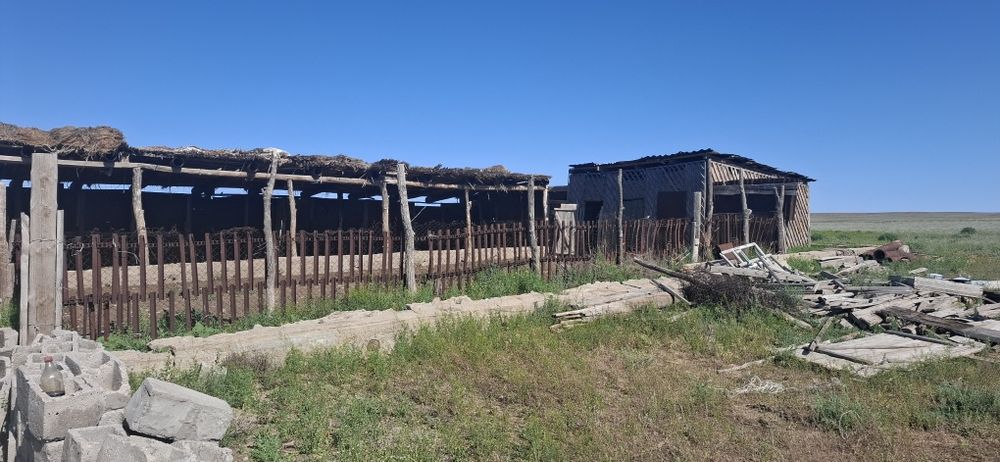 Продам фазенду 20 км от уштобе