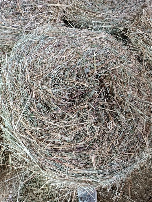 Малки ролонни бали