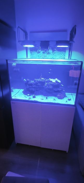 Морски аквариум red sea 300g2+