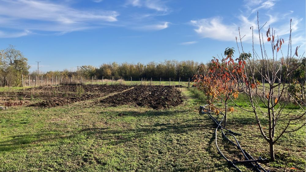 Teren 6.150 mp intravilan Gradistea, Ilfov