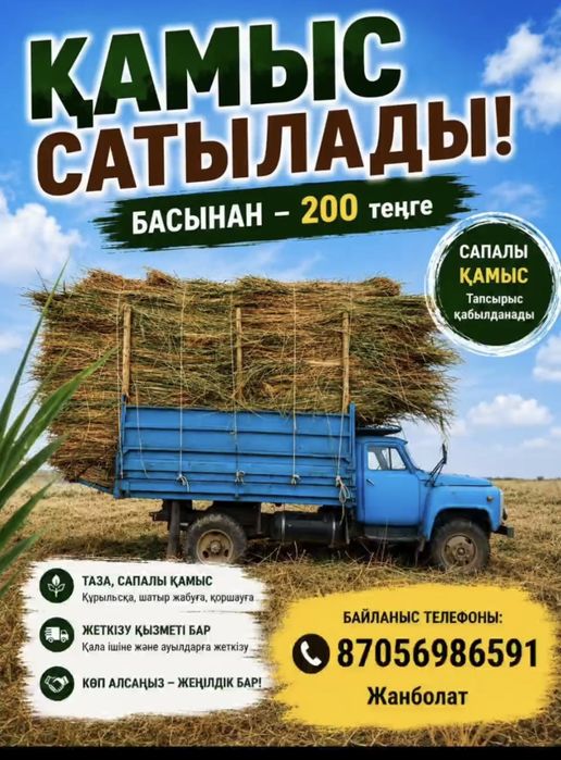 Қамыс сатылады табиғи