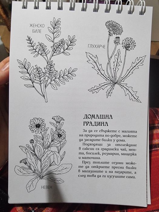 Книга за Оцветяване Вещерство, Гримоар на цветовете