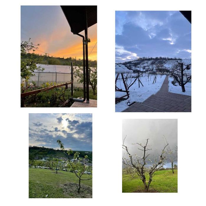 Casă rurală modernizată + 2329 mp teren, livadă și solar