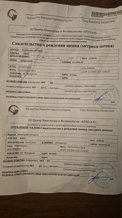 Немецкая овчарка