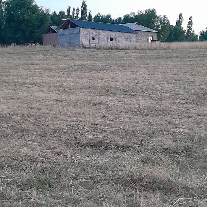Жер сатылады. Төлеби ауданы .  Диханкөл  ауылы