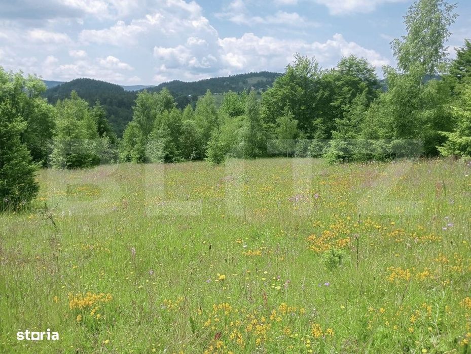 Teren intravilan de vanzare, 30.121 mp, Trancesti, Scarisoara