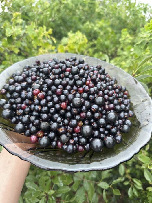 Продам дом по улице Тургумбаева