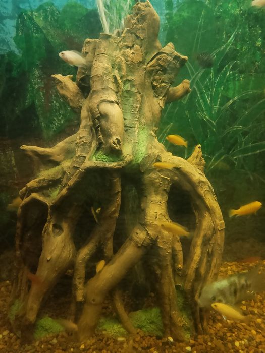 Декор каряга для аквариума.