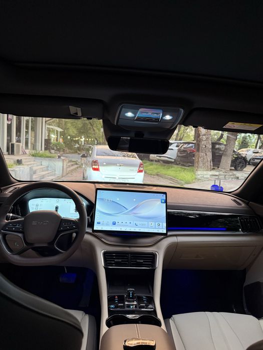 BYD Champion Smart 2025 yil