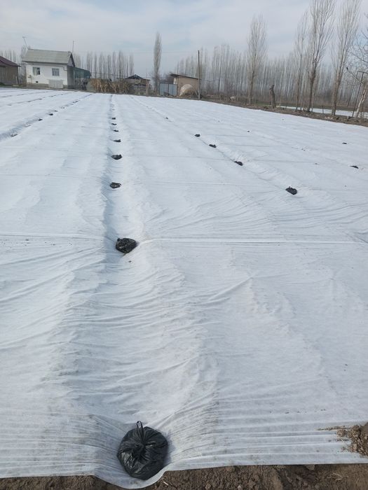 агроволокно. Совукдан химоя Оптом. Россия махсулоти