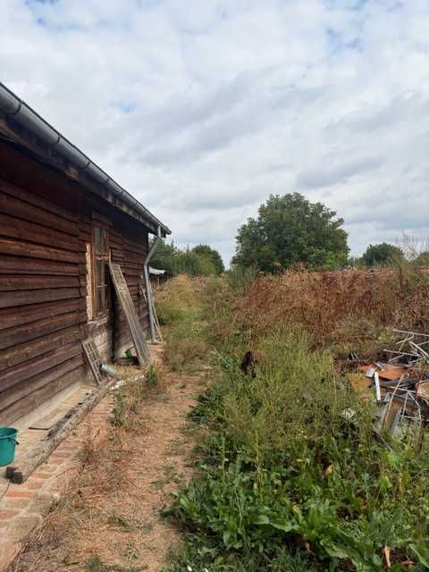 Casă cu curte generoasă (3.000 mp) — Ciorogârla, Ilfov