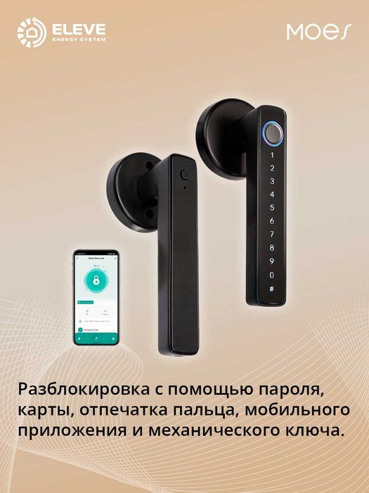 Умный замок Moes SNM10 I BDL-SNM10-BK-MS