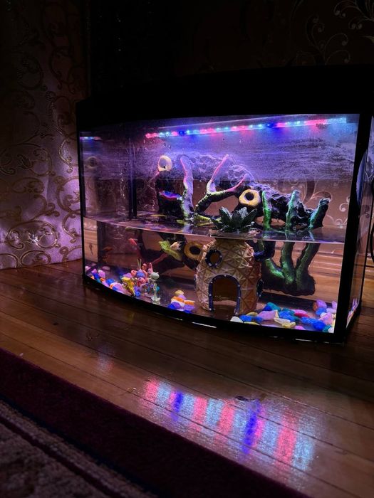 Продаётся аквариум