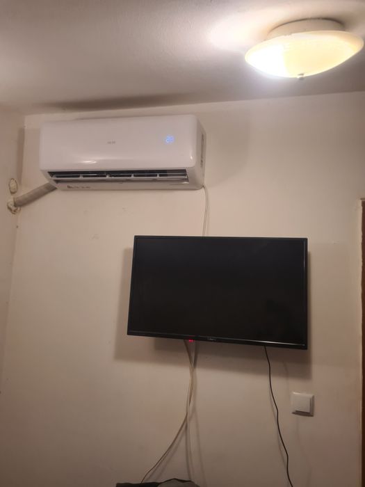 Легло в стая в Ямбол