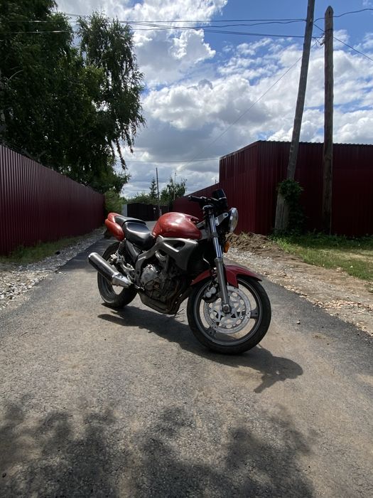 Suzuki bandit 250