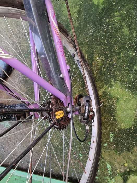 Колело в добро състояние