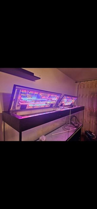 Acvariu 1000 litri cu stand