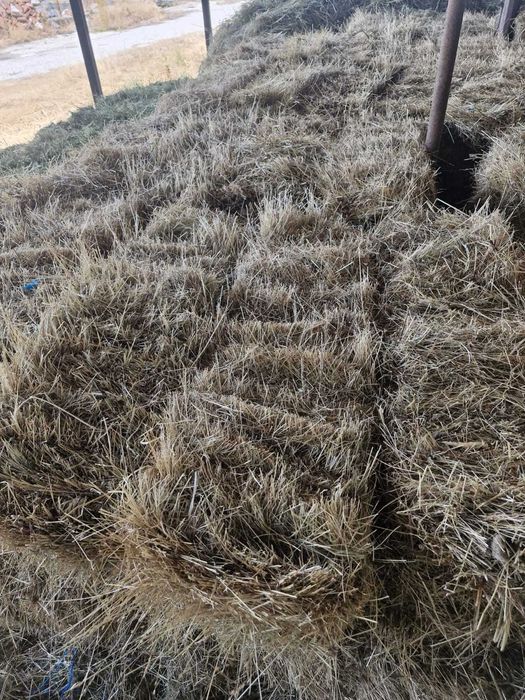 Baloți de fan de vanzare