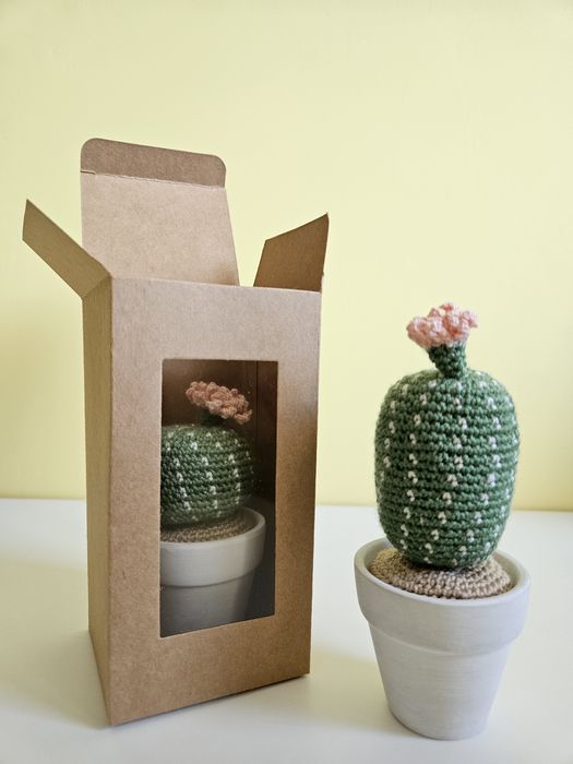 Плетени на една кука кактуси