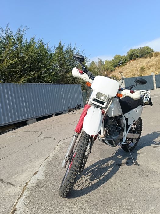 Honda XLR 250 RM