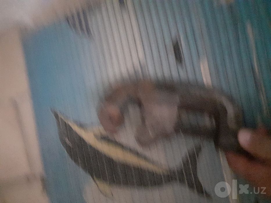 Kuluch sotiladi holati yaxshi
