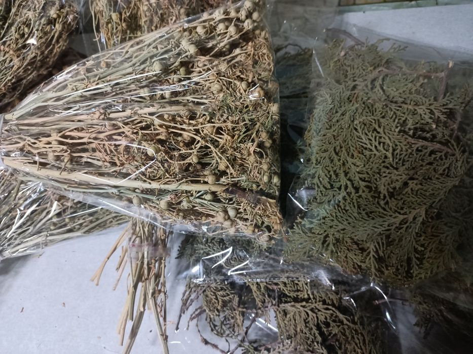 Арша, Арша, Арша