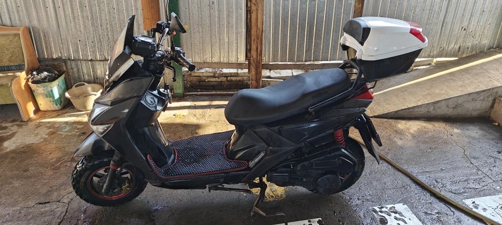 Самурай Лия liya 150