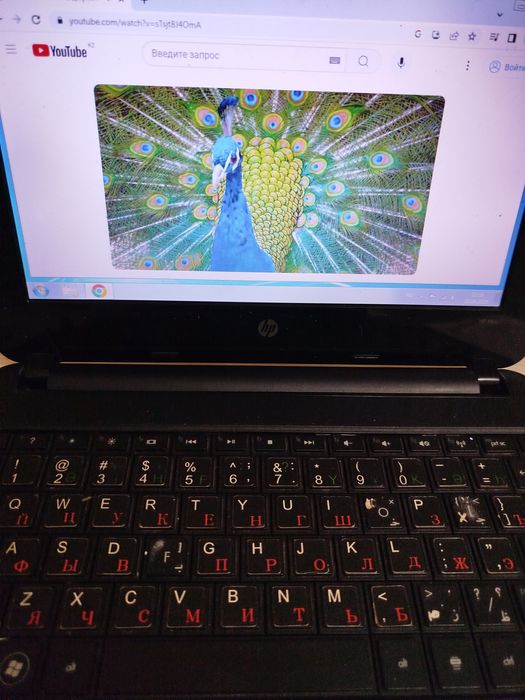 Нетбук Hp нетбук