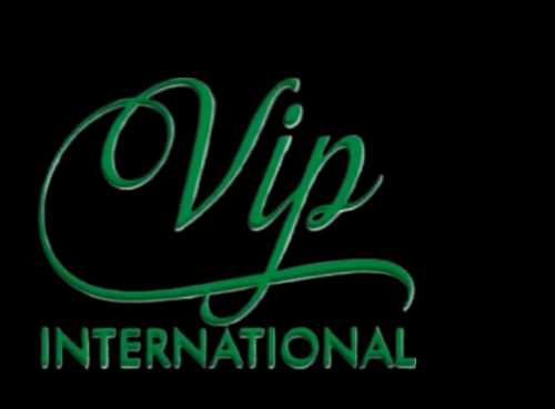 Vip International компаниясына серіктестер қажет